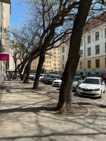 Apartmán Sunny House One Bratislava Exteriér fotografie